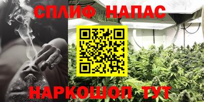 амф Апшеронск