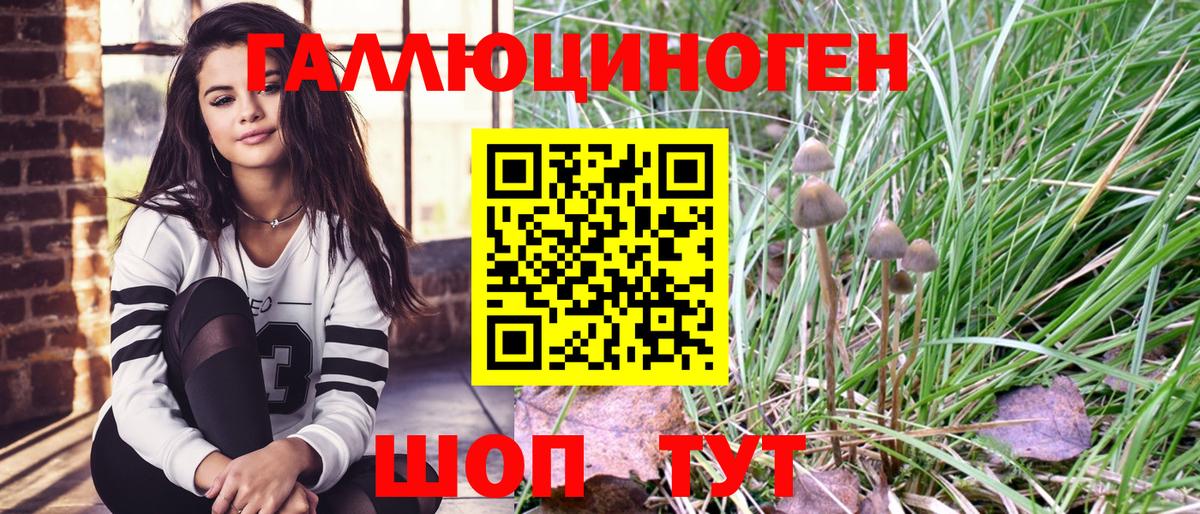 Галлюциногенные грибы мицелий Будённовск