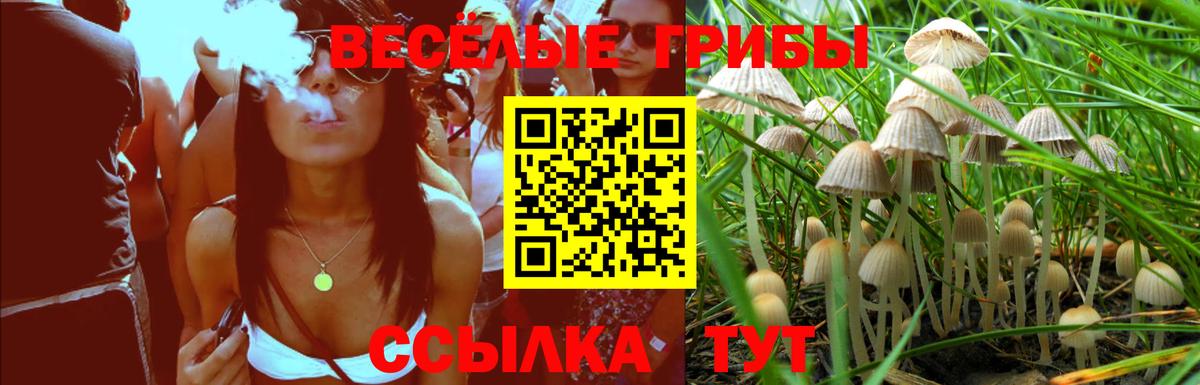 Будённовск  Галлюциногенные грибы Magic Shrooms  Псилоцибиновые грибы мухоморы  Вход с VPN 